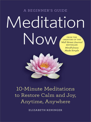 cover image of Meditation Now